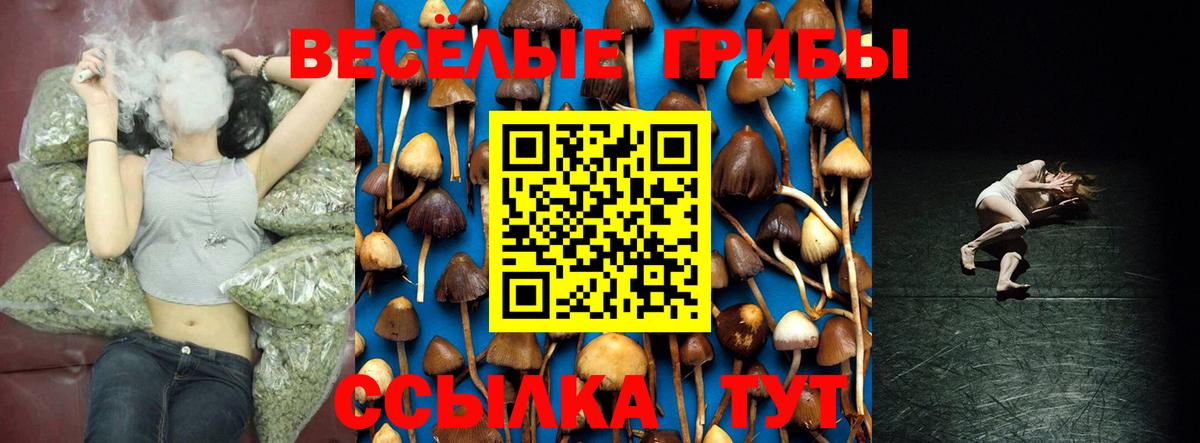 Псилоцибиновые грибы MAGIC MUSHROOMS Елабуга